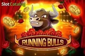 Fight Bull
